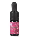 Rosemary Stock - Soluzione Madre