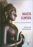 Saggezza Illimitata — Libro