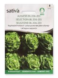 Semi di Lattuga a Cappucio Brighella