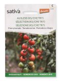 Semi di Pomodoro Ciliegia Tiamarie Bio