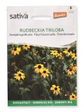 Semi di Rudbeckia Triloba Fiore Biennale
