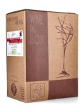 Vino Rosso Sangiovese Rubicone IGP Bio