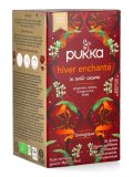 Winter Warmer - Tisana Pukka Bio