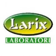 Larix