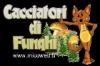 Micoweb.it