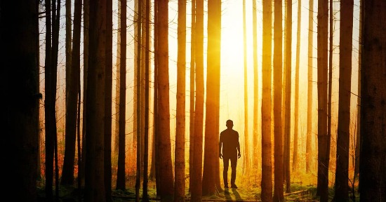 Chi sono gli invisibili Custodi della Natura? E come possiamo comunicare con loro?