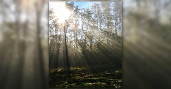 L'importanza della vitamina D