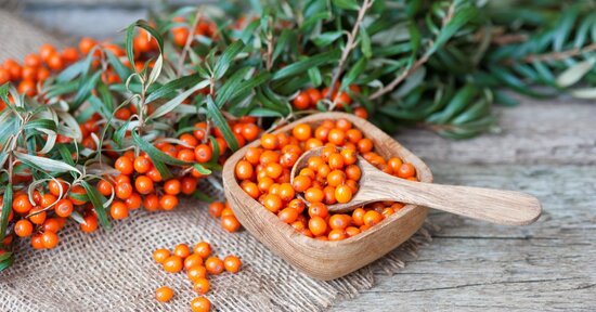 Olivello spinoso: un concentrato di vitamina C